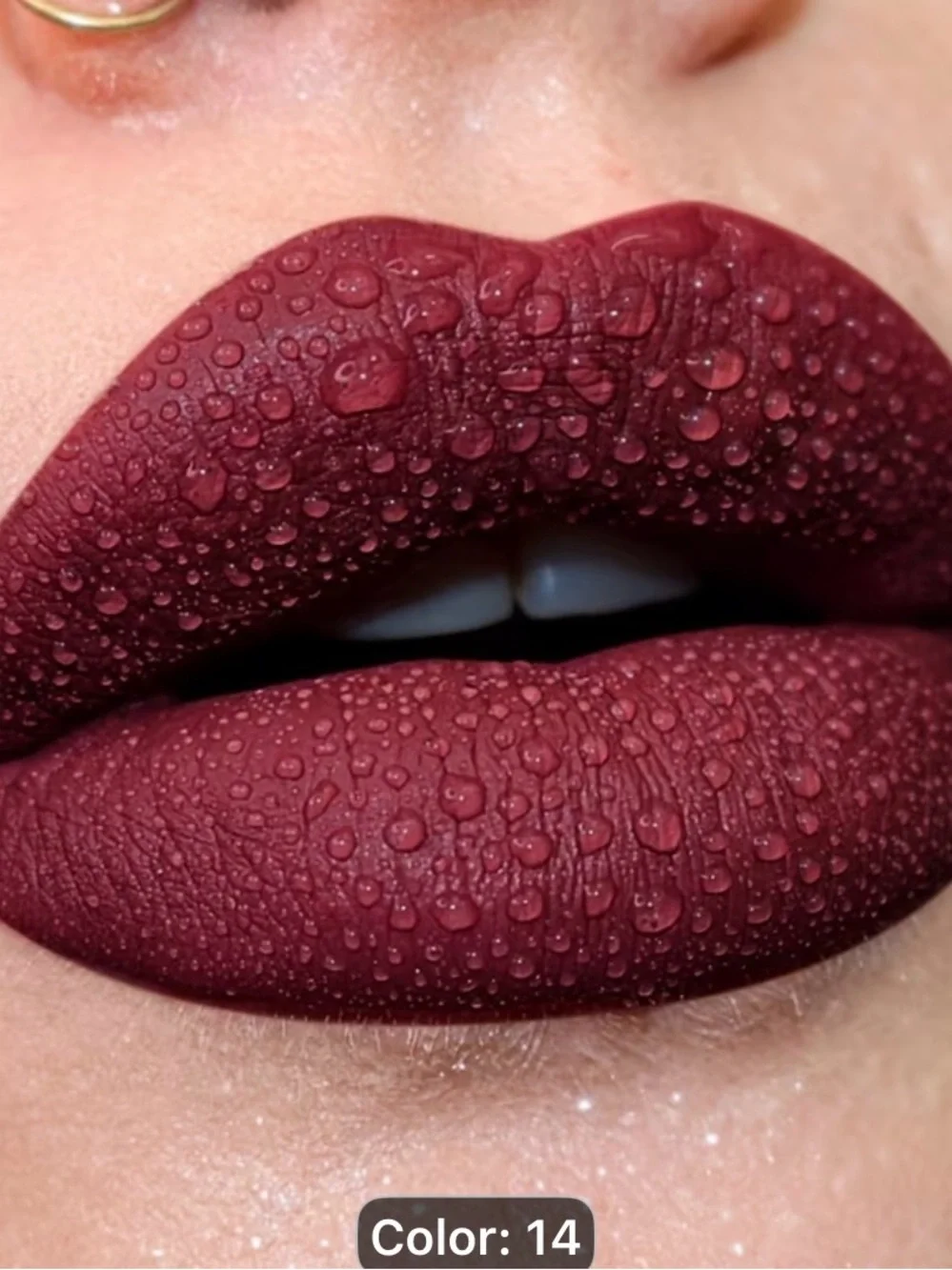2pcs matte Liquid Lipstick-Deep-waterproof-long lasting Berry-Reddish Brown